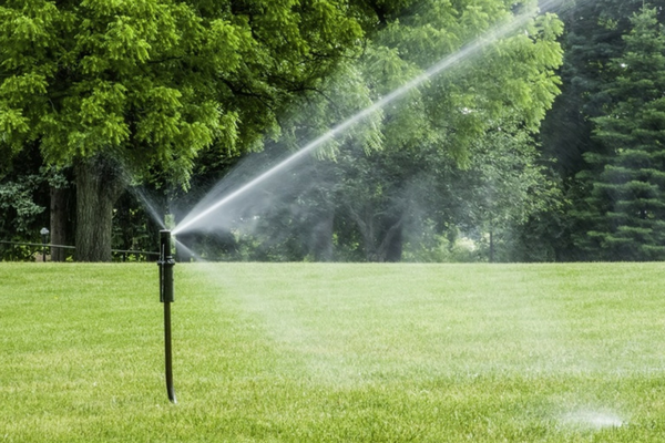 I vantaggi dei sistemi intelligenti per irrigazione domotica